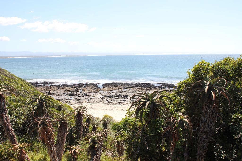Shack On Supers Villa Jeffreys Bay Bagian luar foto